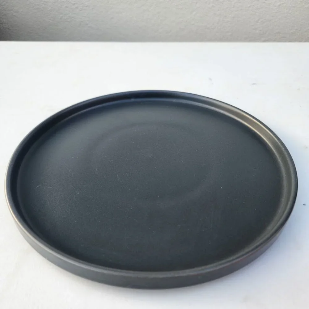 NEW 2X Stone Lain Stoneware Round Dinner Plate Dinnerware Gray Replacement Matte